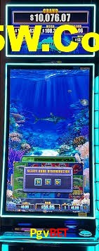 Game Statistics Pgvbet